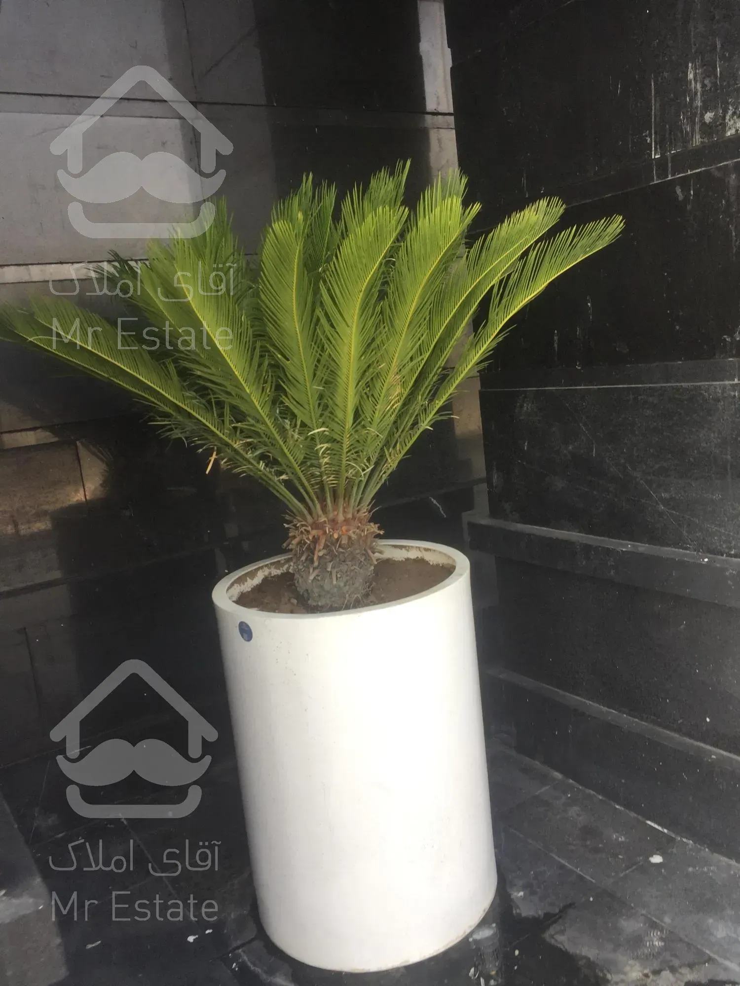 خرید واحد ۵۰ متری اقساطی ویو ابدی