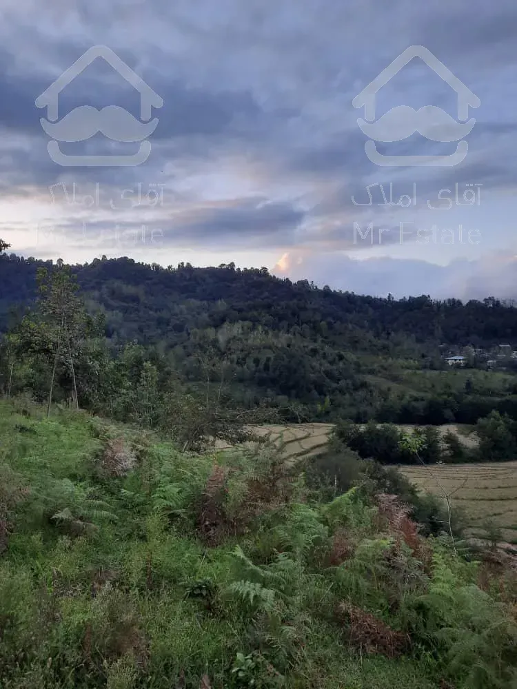 فروش زمین با ویوی عالی و قیمت باورنکردنی