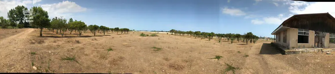 زمین واقع در فرح اباد ساری