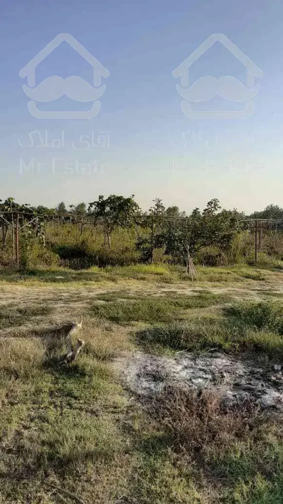 زمین۲۷هکتاری با کلی امکانات