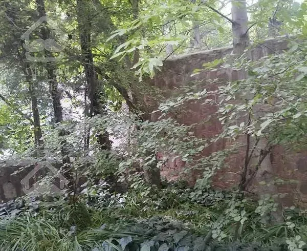 باغ ویلا  چشمه اعلی