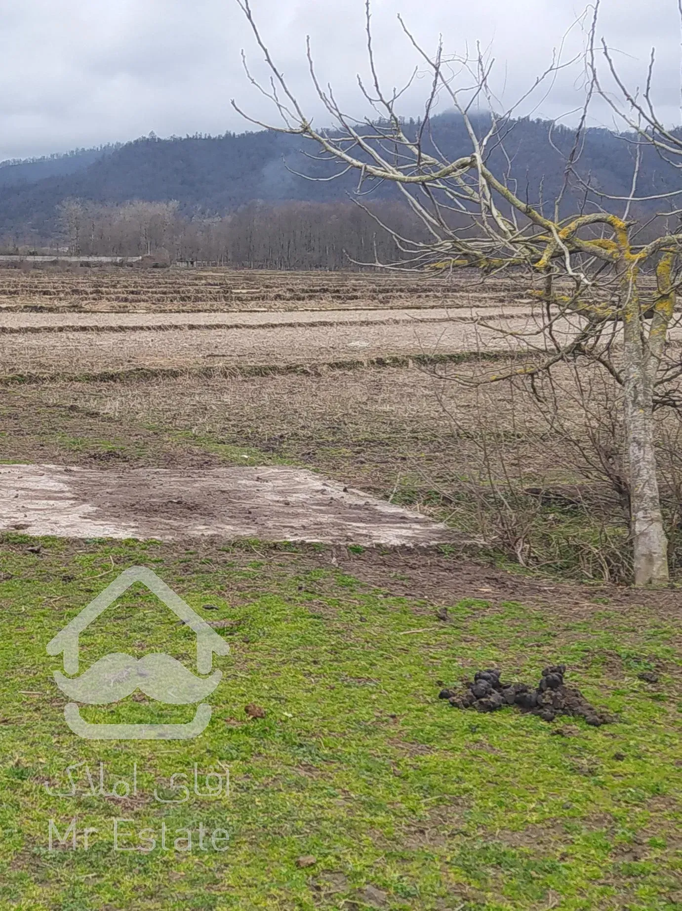 زمین مزروعی مناسب سرمایه گذاری