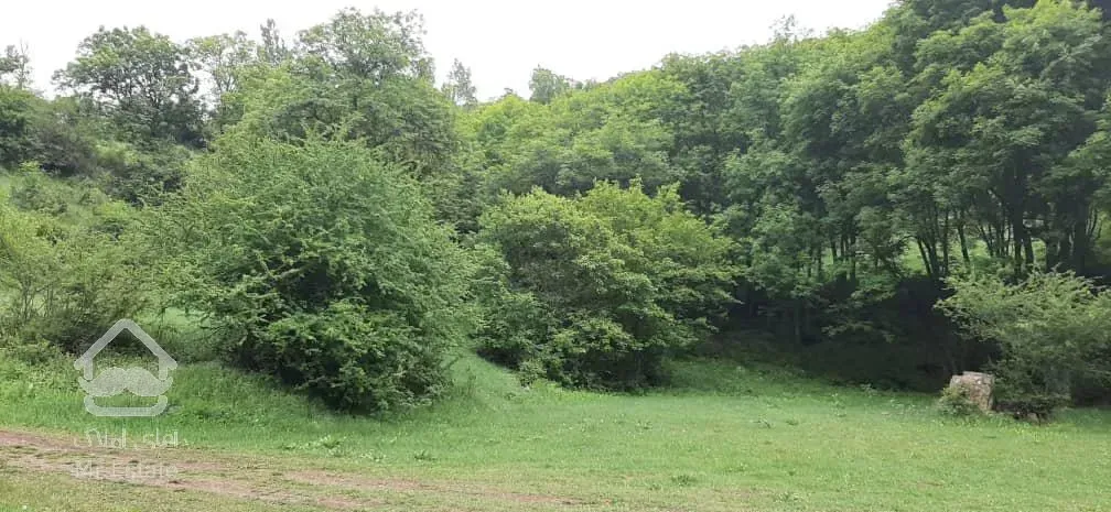 فروش زمین داخل بافت روستای ولی آباد