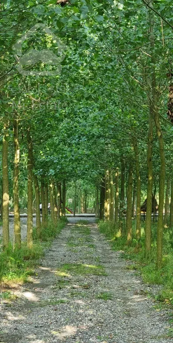 معماری متفاوت/واگذاری ویلا متفاوت