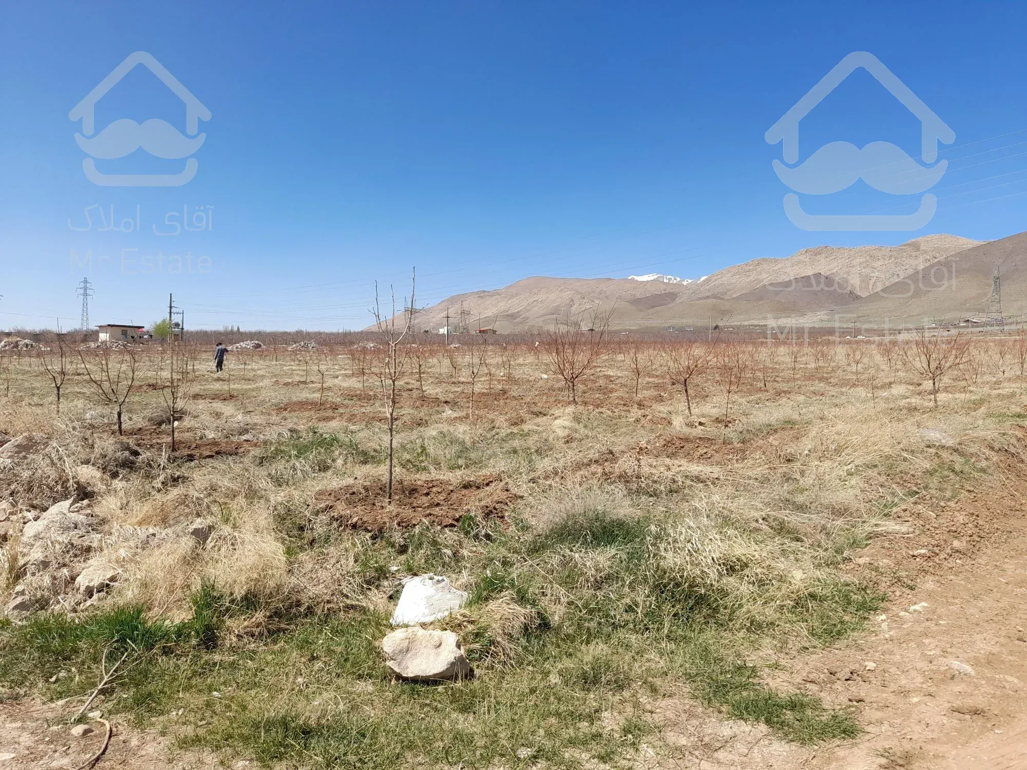 ۱۰۰۰متر زمین کشاورزی با دختان ۵ ساله