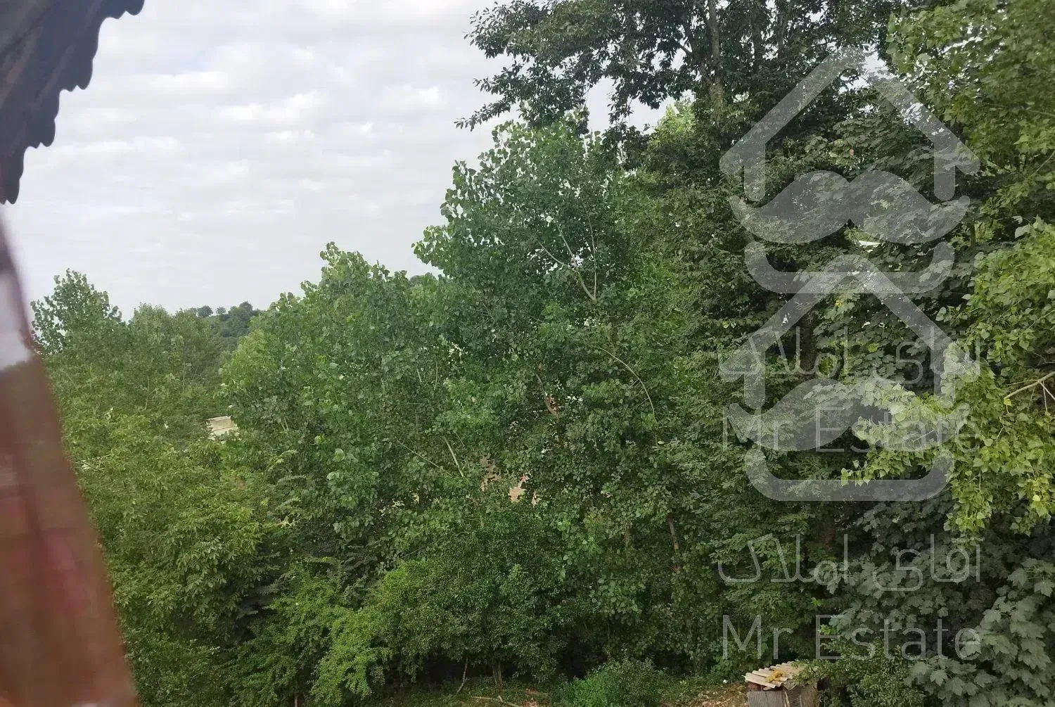 ویلای جنگلی با بهارخواب