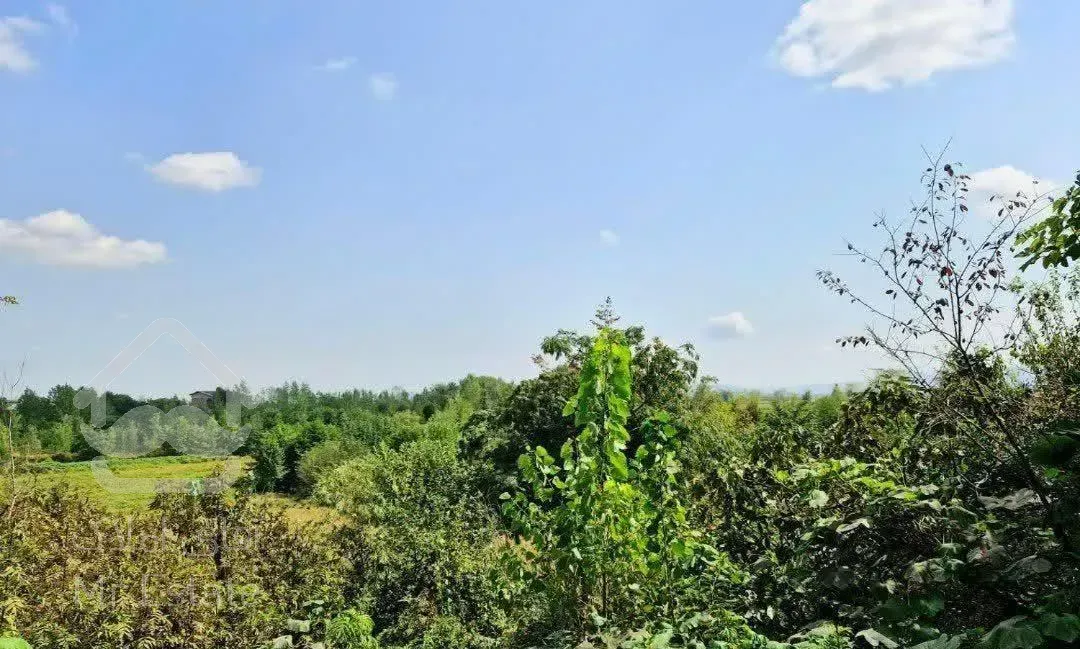 خانه کلنگی ۲۲۰متر زمین با امتیاز دوردیوار فومن