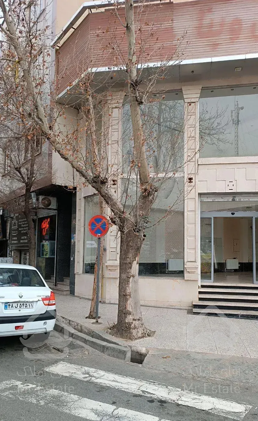 ۲۲۳متر/شاهین/پرتردد/مناسب برندها