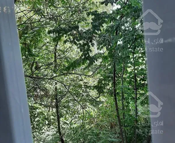 فرشته ۲۱۳ متر  ، دید سبز