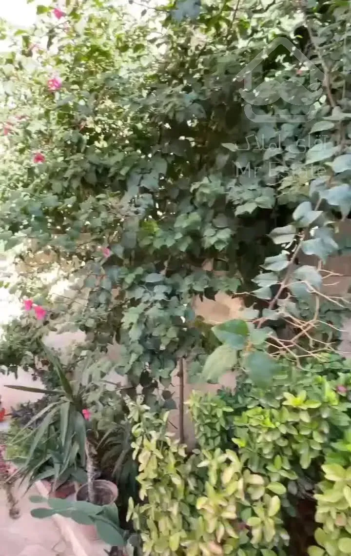 ۱۱۸ متر ۳خوابه میرزای شیرازی