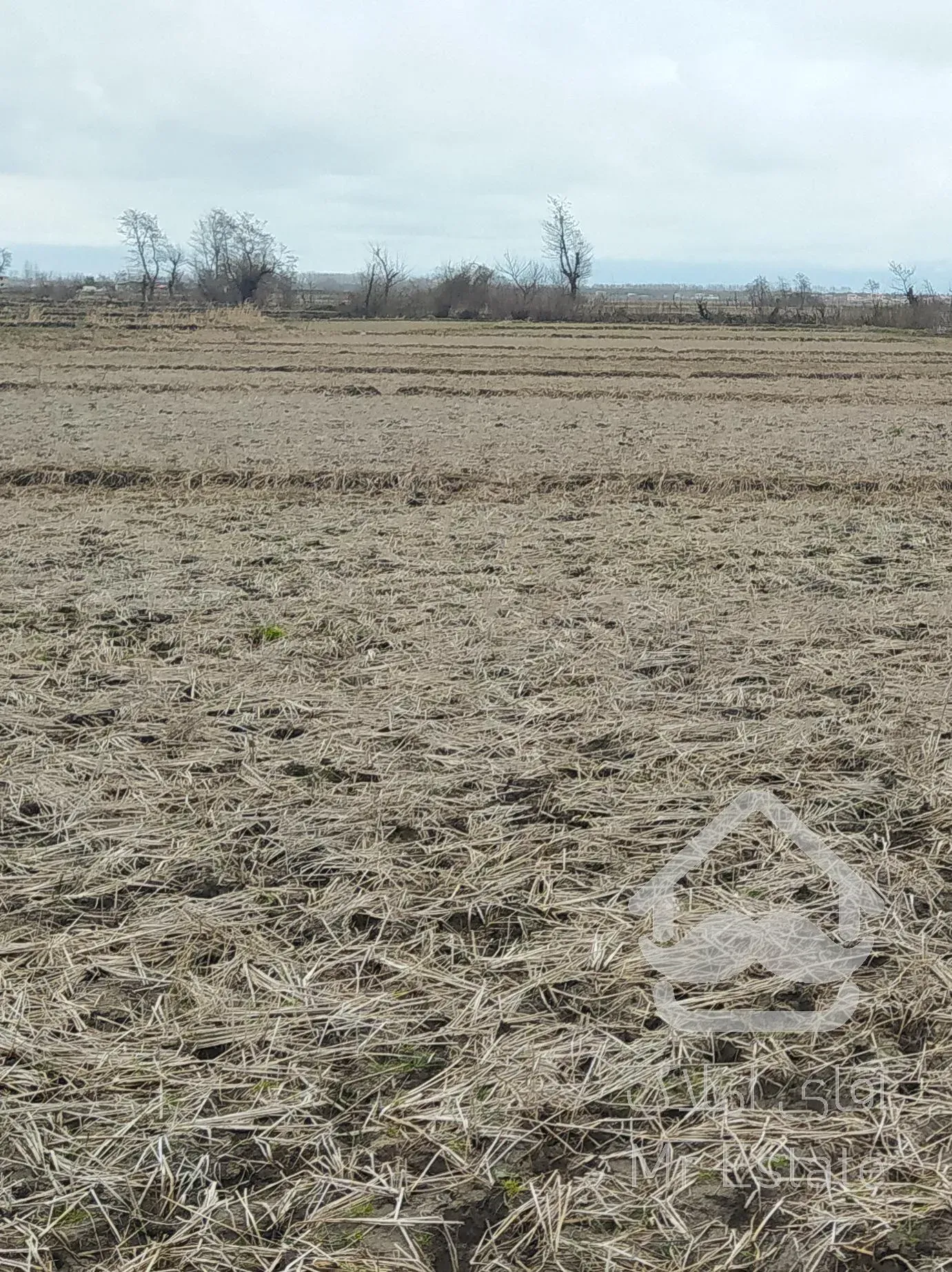 زمین مزروعی مناسب سرمایه گذاری