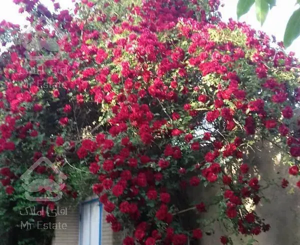 ویلا 1225 متر حاجی بیگ هشتگرد سنددار