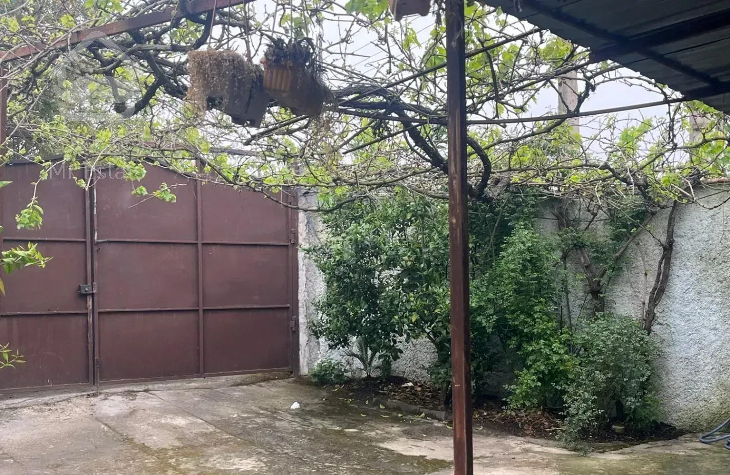 شمال جاده کیاکلا