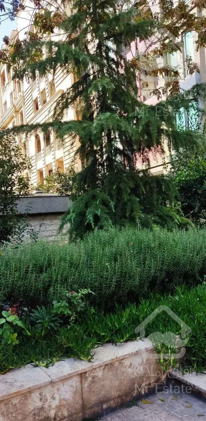 میرداماد فرعی دنج 160سه خوابه