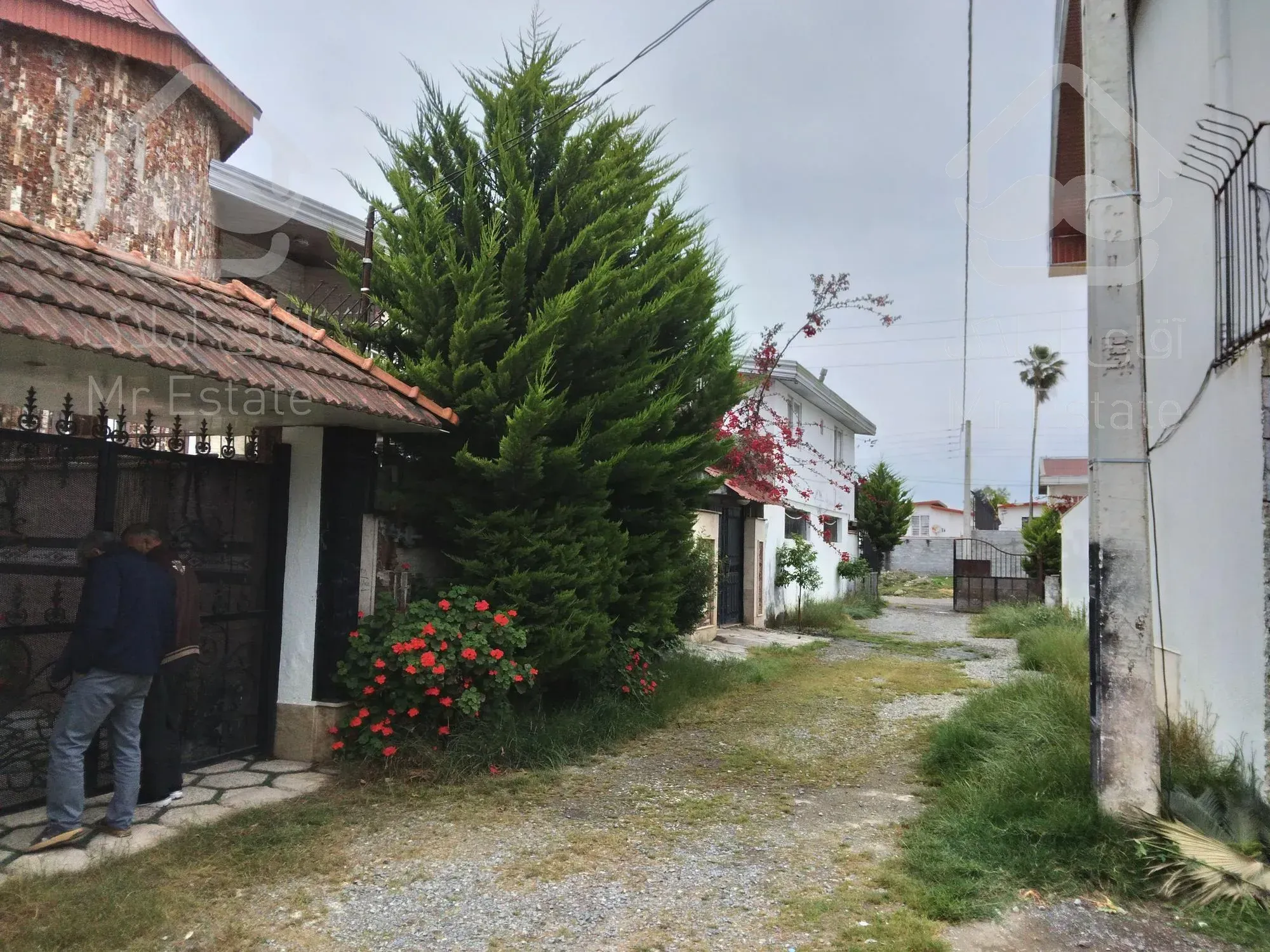 زمین مسکونی سندار دراسلام اباد