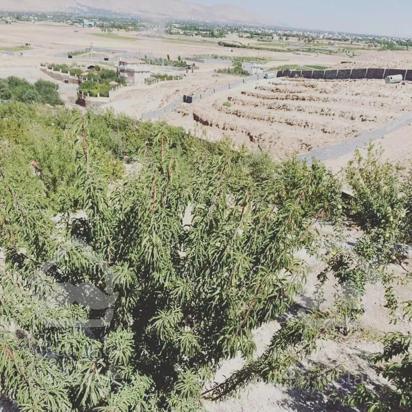 ۲۰۰۰هزار متر باغ ویلا تهران >آبسرد