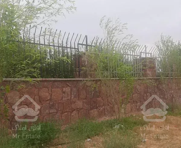 باغ بر یک کلفور درختد۱۵ ساله