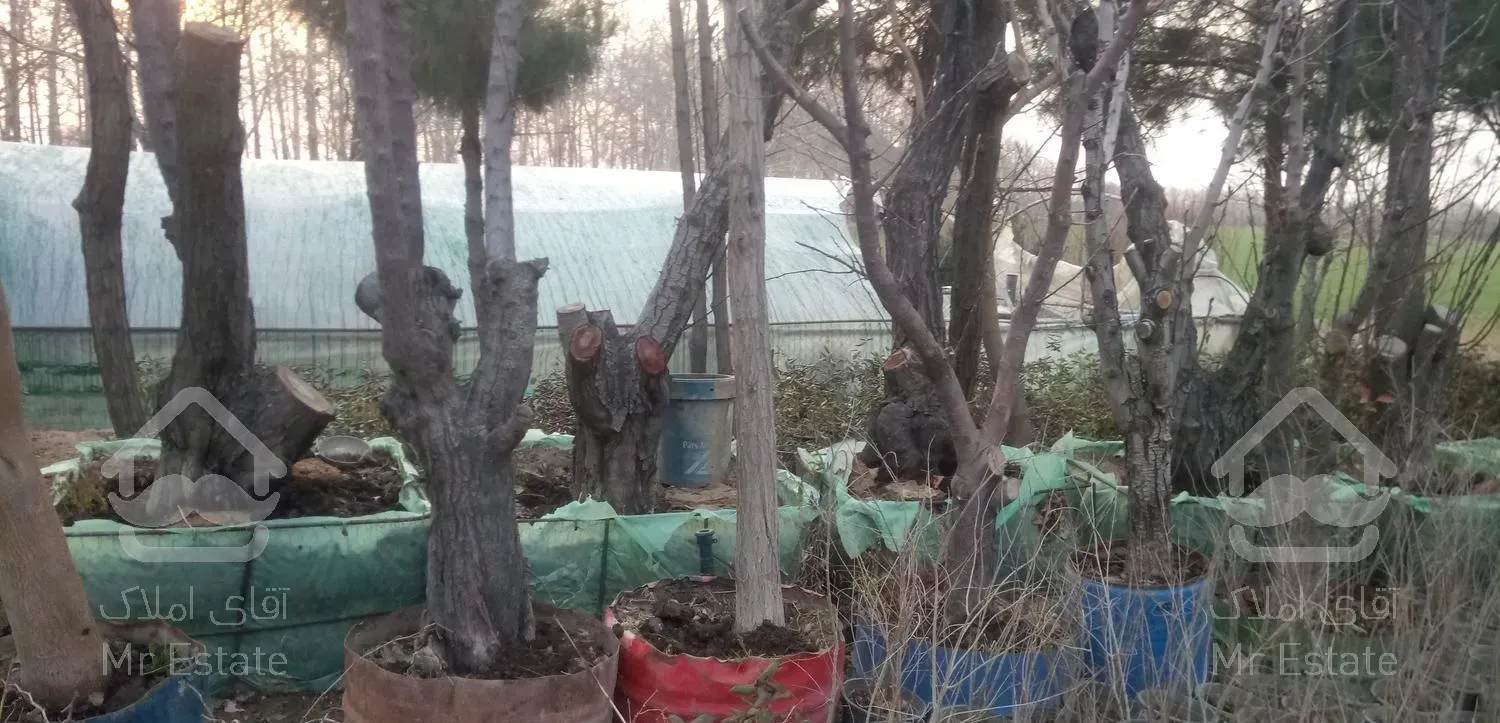 طراحی باغچه فضای سبز تنومند خاک گل وگیاه نهال درخت