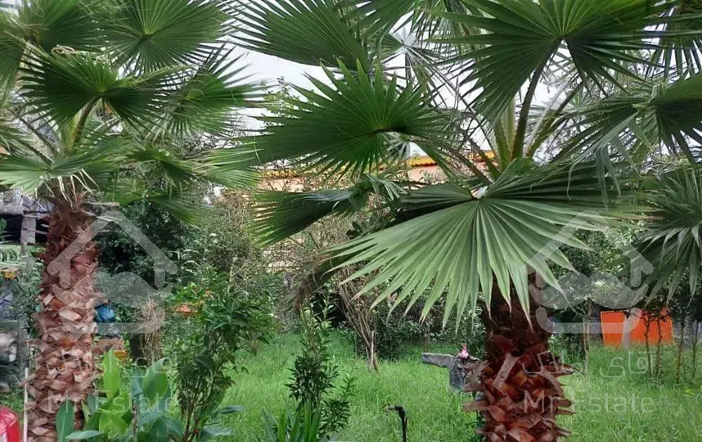 فروش ویلا 860 متر /سنددار/ویو جنگل