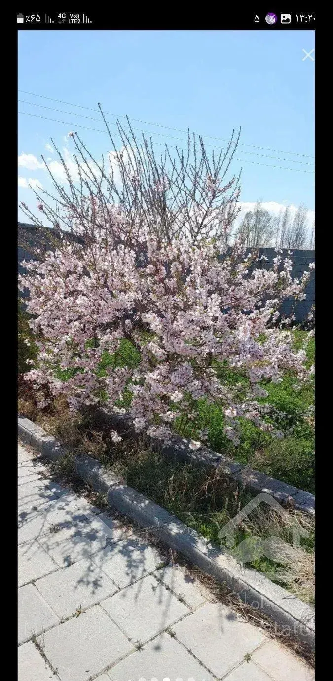 ویلا باغ جاده کلانتری ،ساریجالو