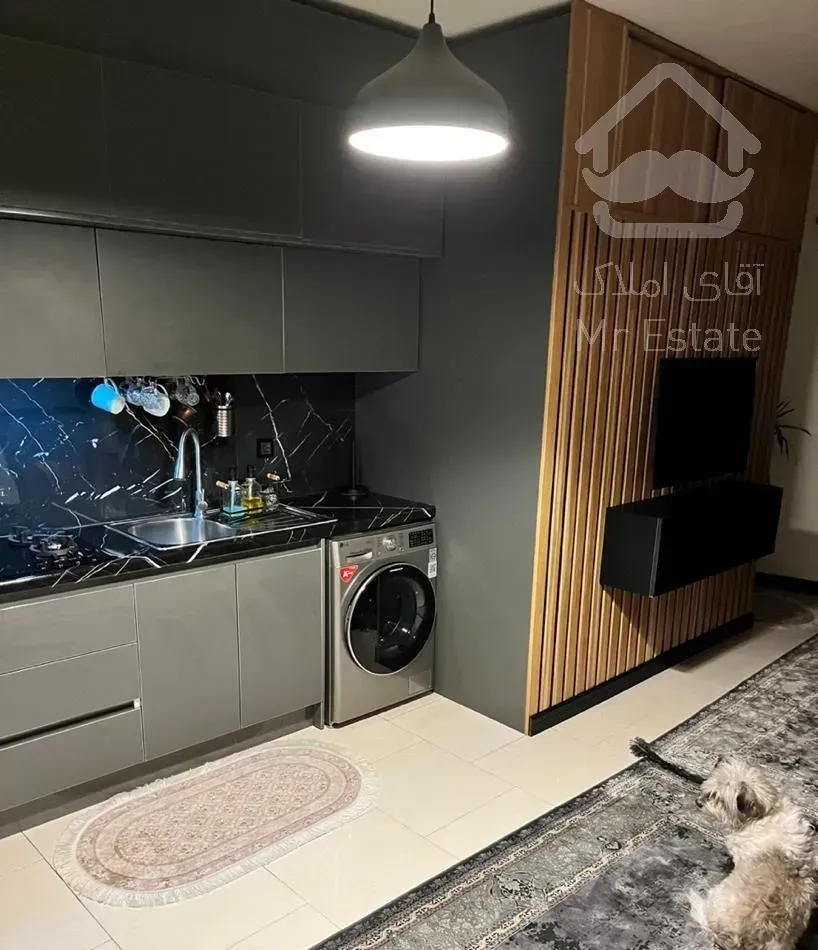 فروش آپارتمان ۴۵ متری ۱ خوابه طبقه ۲ در شمیران‌نو