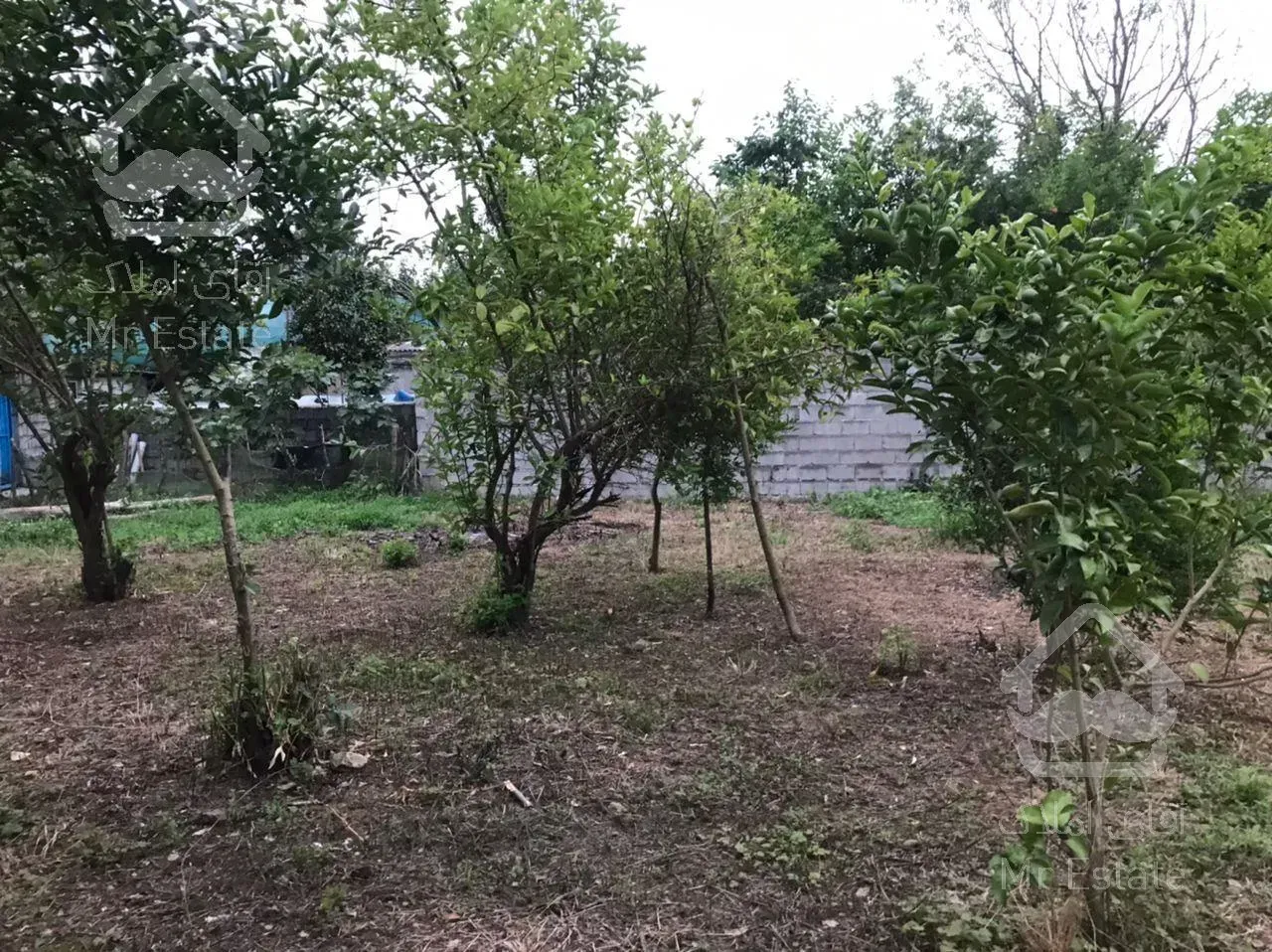 ویلا باغ ۸۱۹ متر سند تک برگ کاربری مسکونی