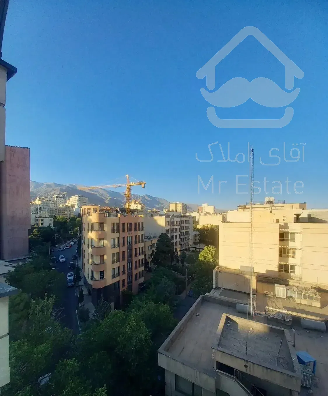 ۱۳۰مترآکواریوم،سعادت بالای کاج،سرمایهگذاری.