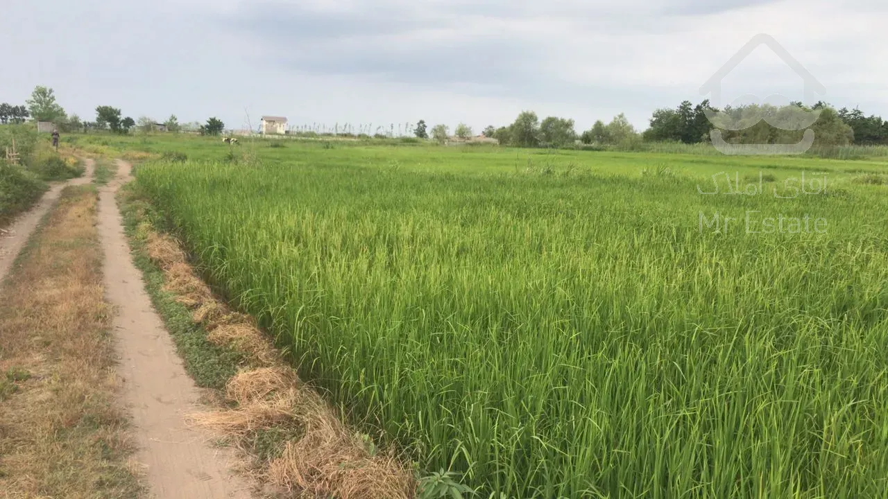 فروش زمین ساحلی سند دار