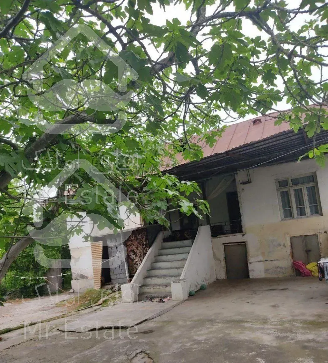 باغ ۷۰۰ متری با درختان چندساله بارور سرمایه گذاری