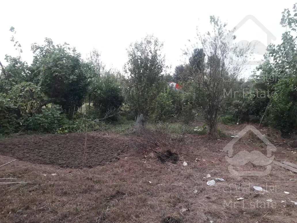 ۸۶۵ متر زمین سنددار در گیلان - روستای مردخه شهرستان شفت