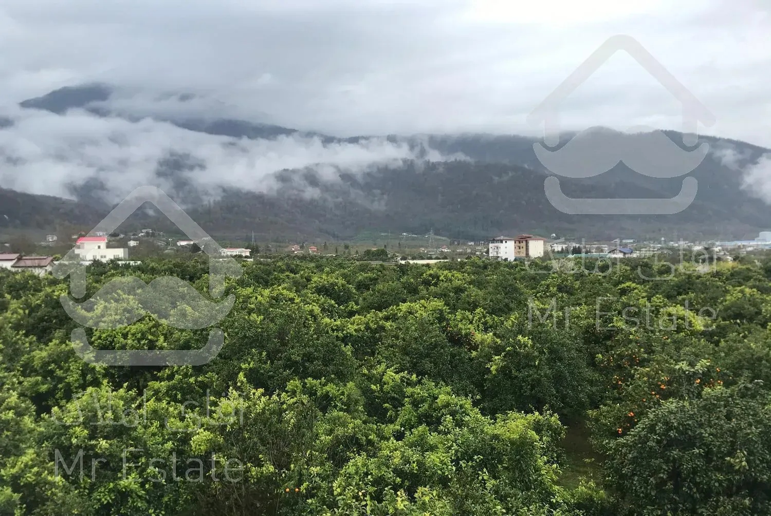 واحد ١٢٠ متری ویو جنگل