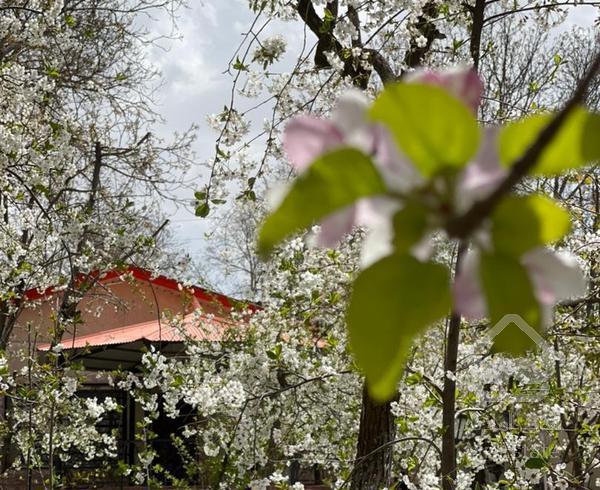 باغ قدیمی بسیارزیبا