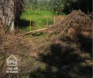 زمین 4000متری با موقعیت مناسب توریستی