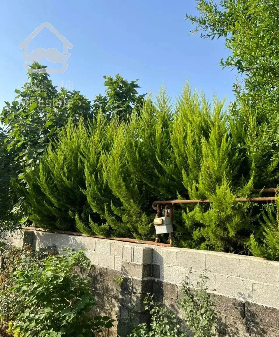 ویلا باغ نزدیک ساحل تالش