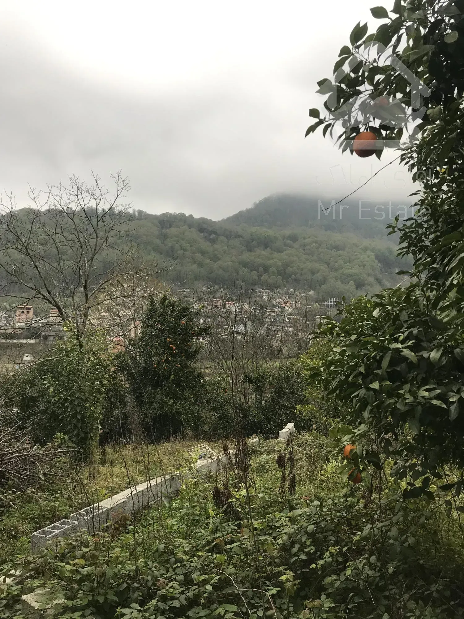 زمین مسکونی، استان مازندران، شهر شیرگاه