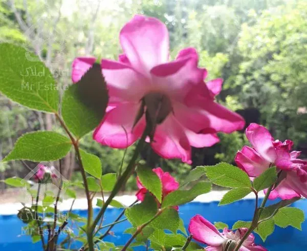 ویلا باغ در منطقه کوهستانی کردان اغشت