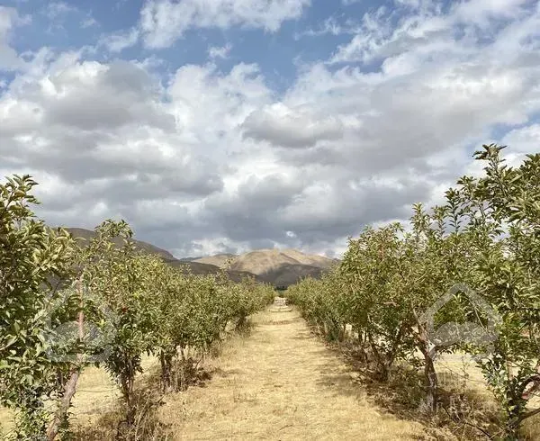 زمین باغ کاربردی