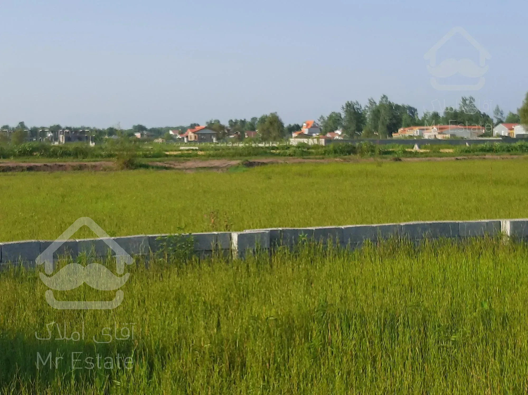 ۳۴۳ متر زمین باشرایط ویژه چاف