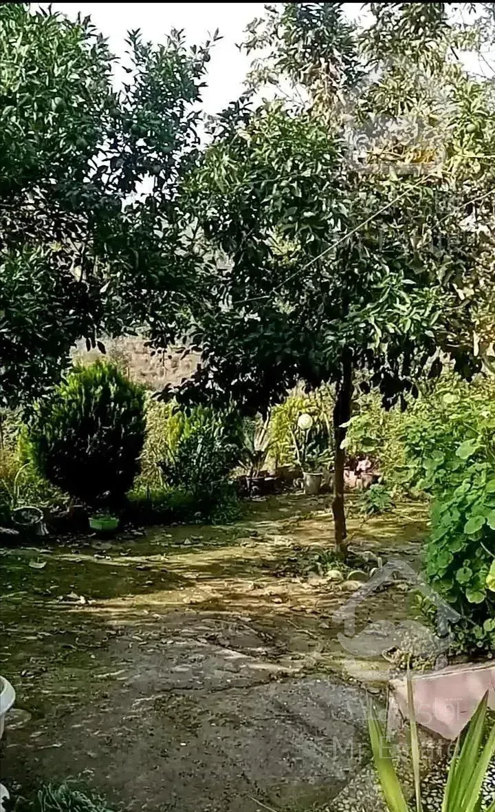 فروش ویلای جنگلی 600متر