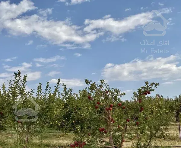 زمین باغ کاربردی