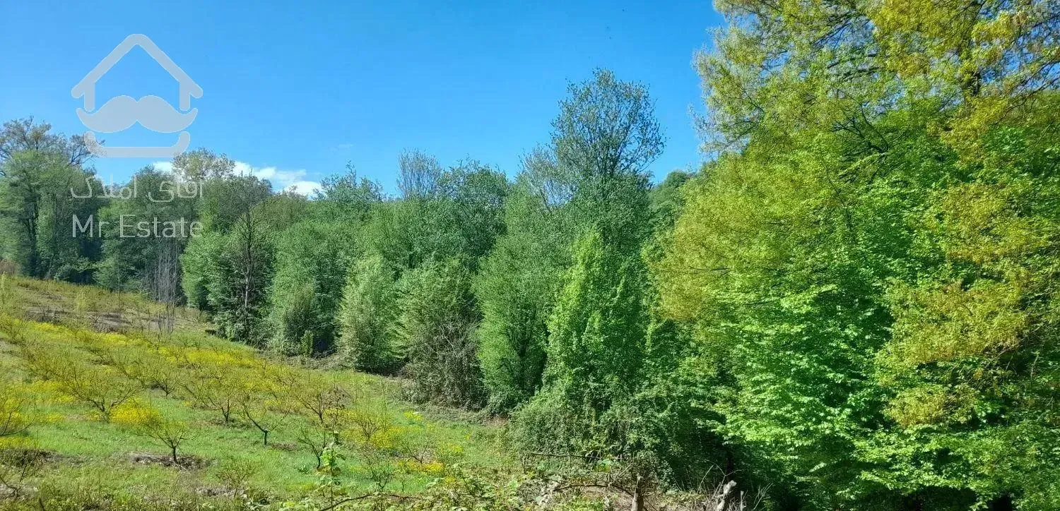 اجاره ویلا جنگلی۳۰۰ تا جنگل۳۰ک تا دریا