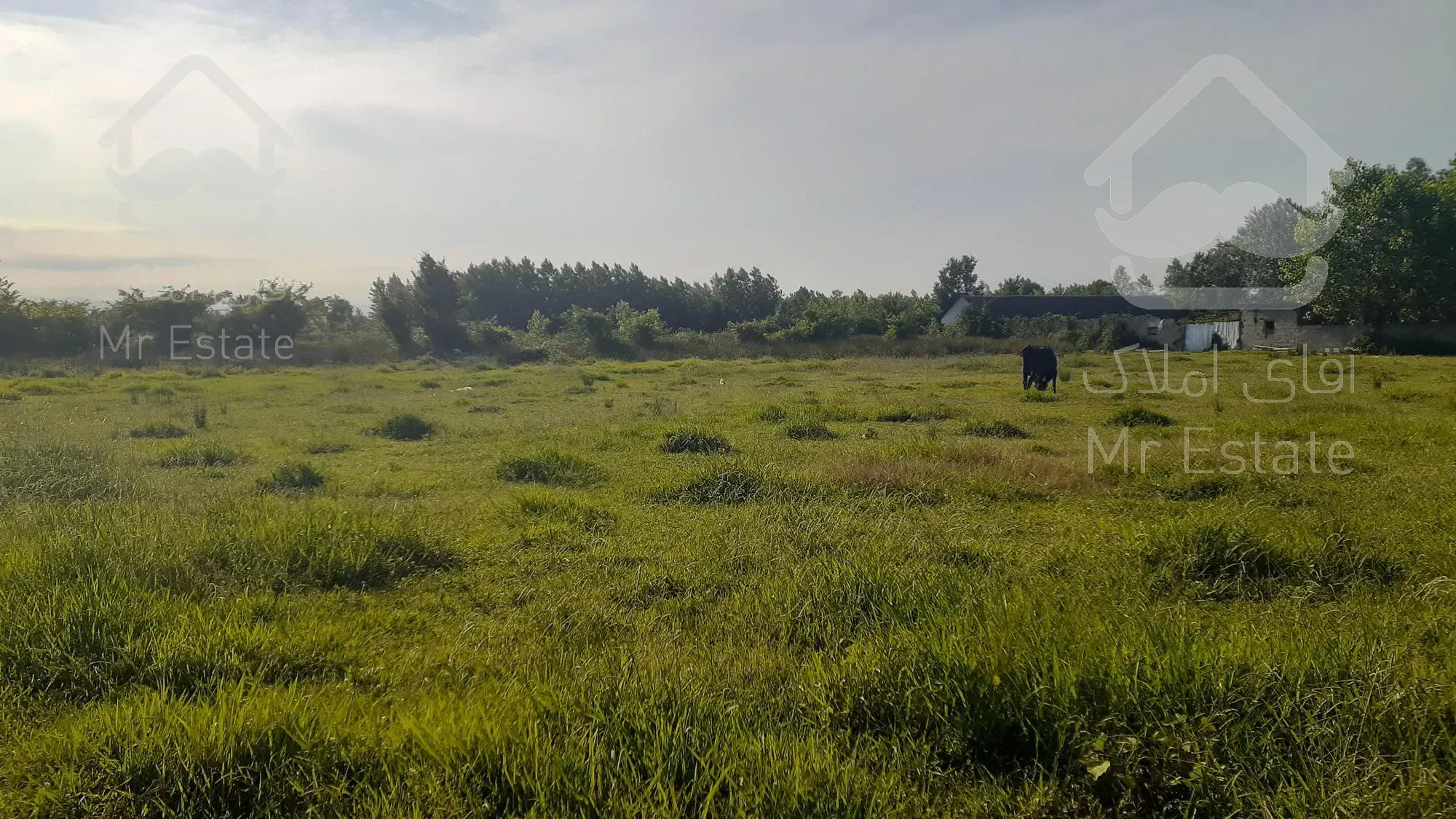 زمین باغات 538 متری