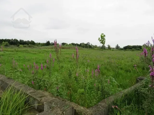 فروش زمین ساحلی سند دار