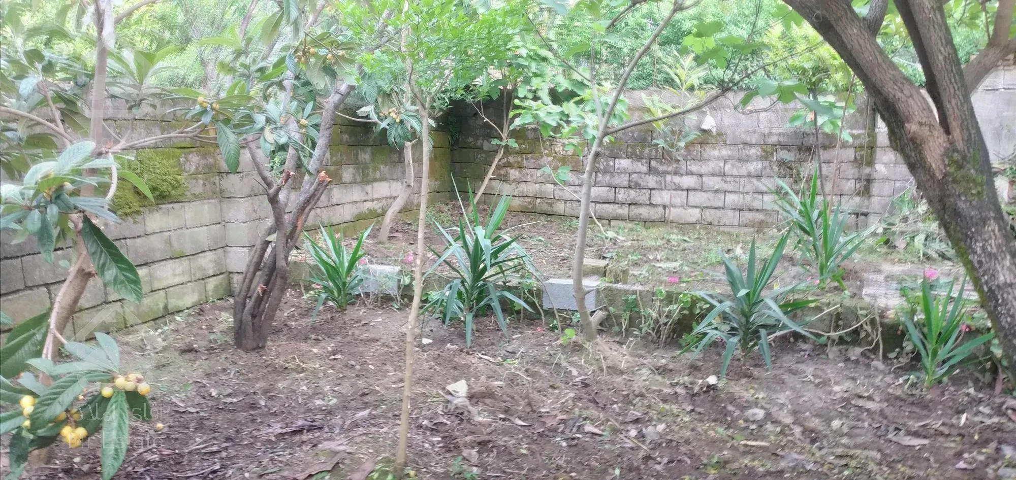 رامسر.مرکز شهر