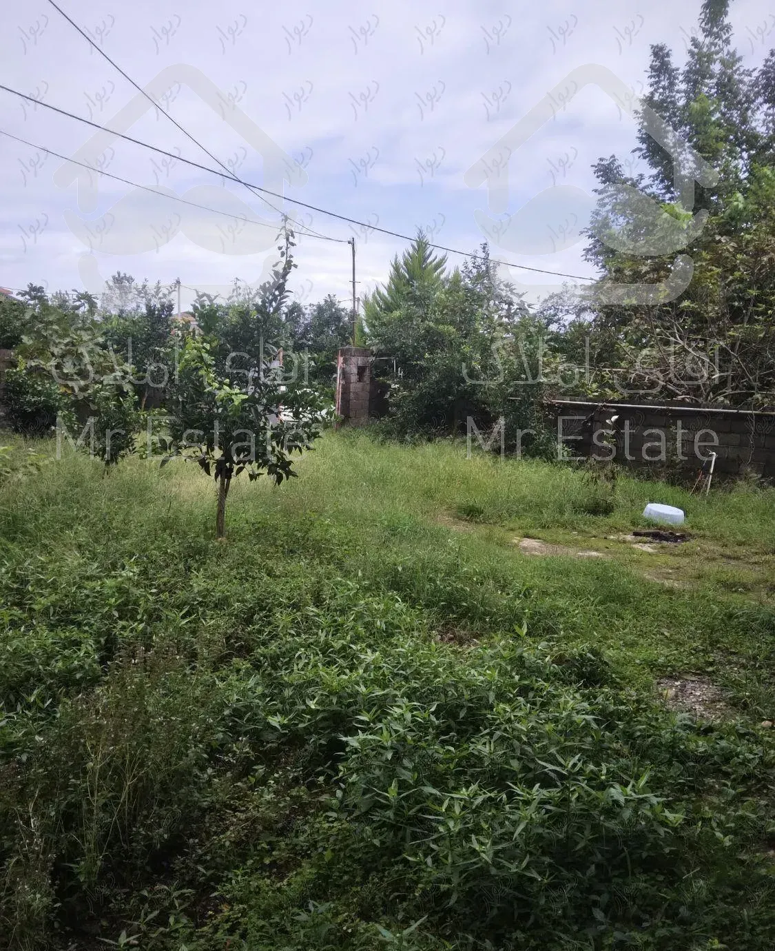 اجاره ویلایی دربست