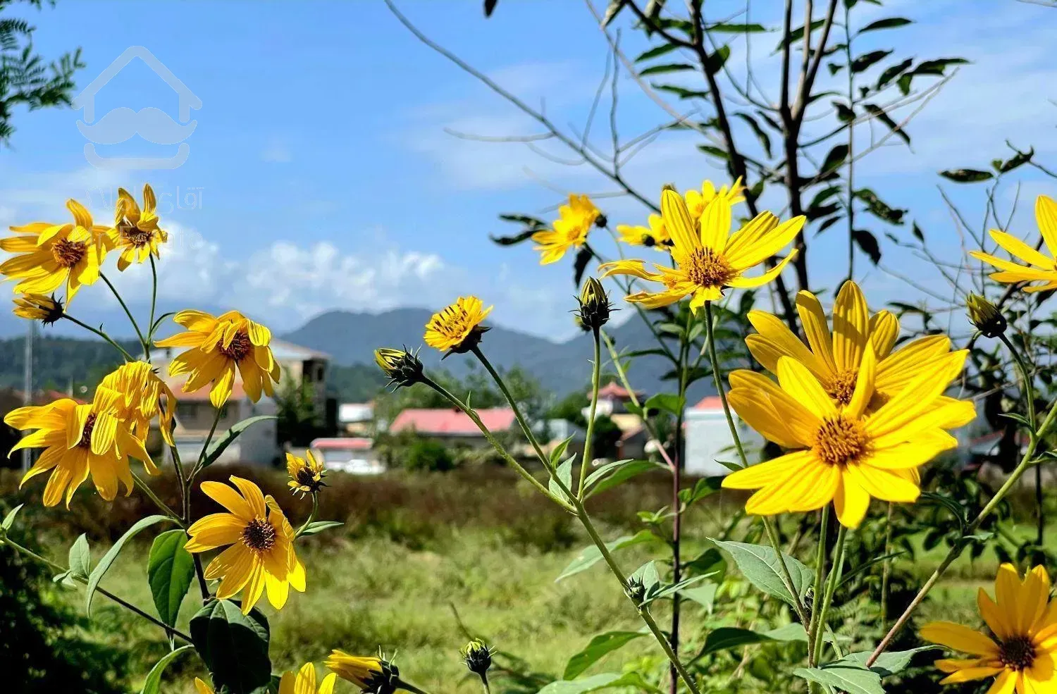 خانه ویلایی ۴۰۴ متر سند تک برگ قلعه رودخان