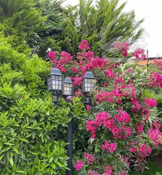 رهن و‌اجاره ویلا