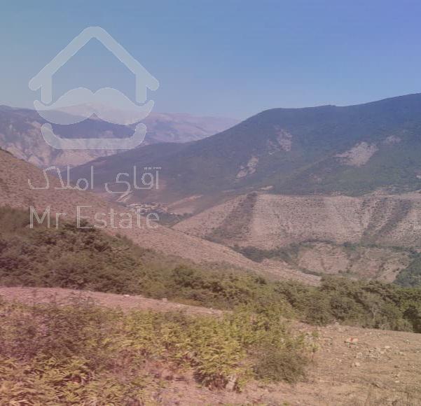فروش ۲۱۰۰مترزمین نزدیک به بافت مسکونی درمازندران کجور