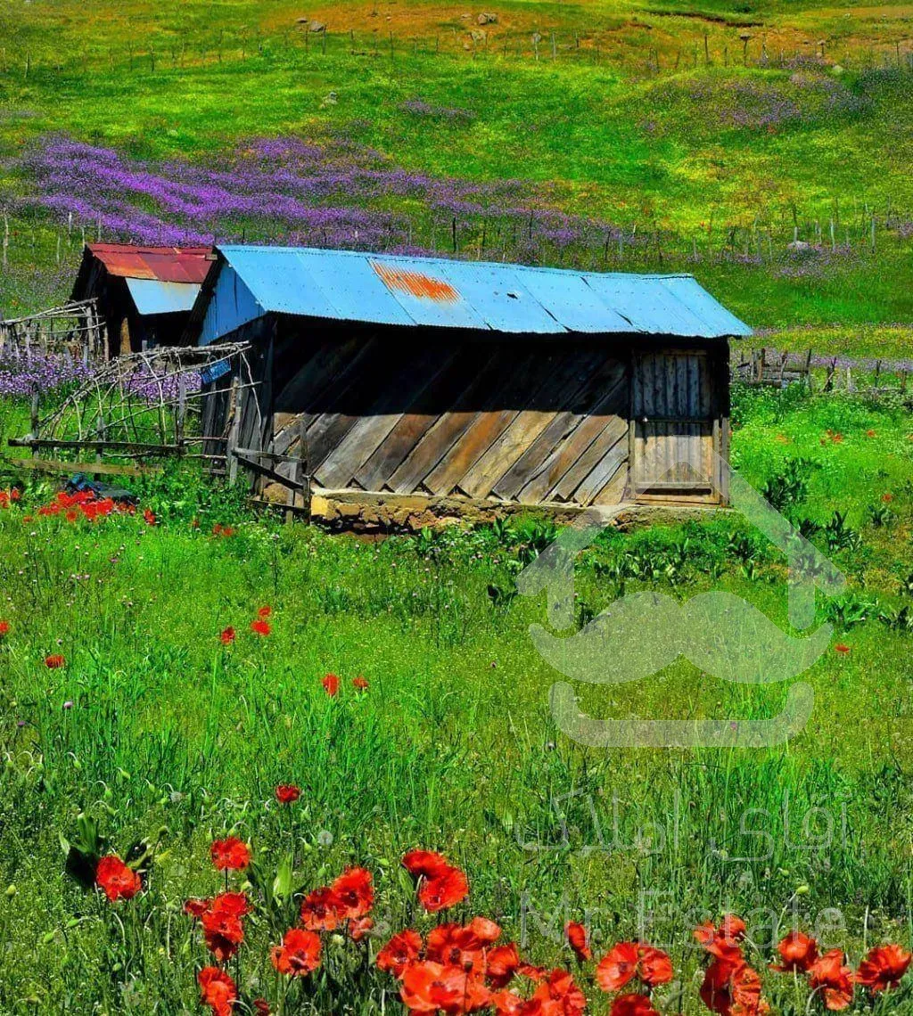 منزل اجاره ی