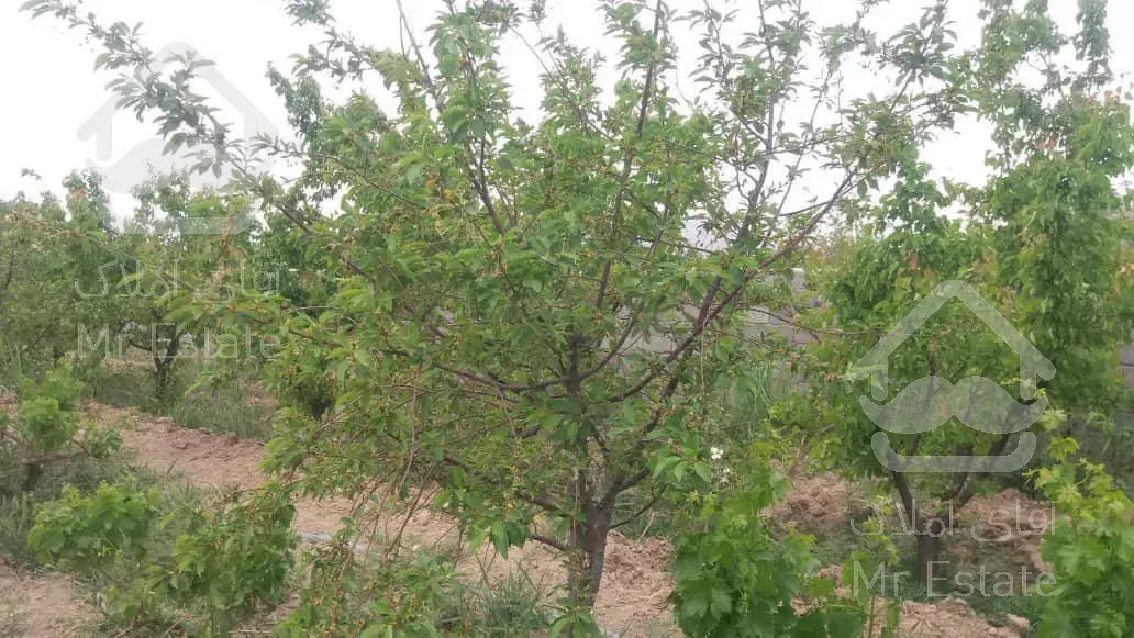 باغ ویلا به مساحت ۱۳۰۰ متر